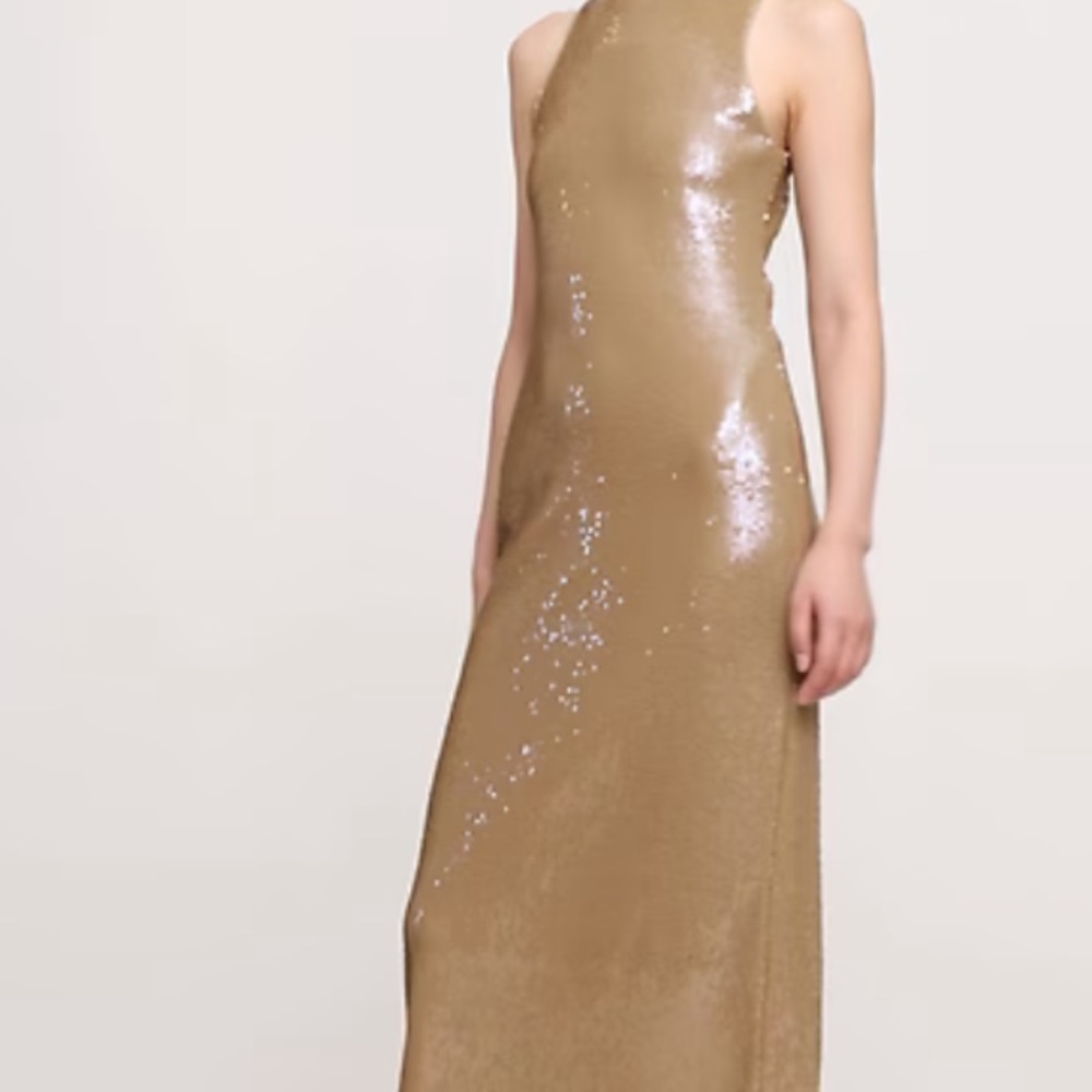 Banana Republic Stretch Maxi Sequin Dress